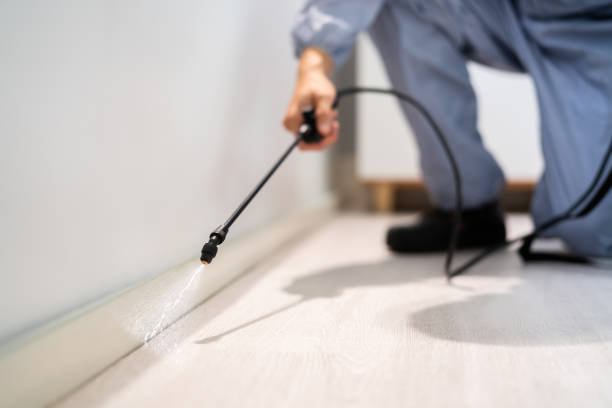 Licensed Cockroach Control service in Roanoke County County, VA - Nex Pest Control