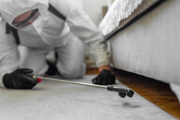 Professional Cockroach Control technician working in Roanoke County County, VA